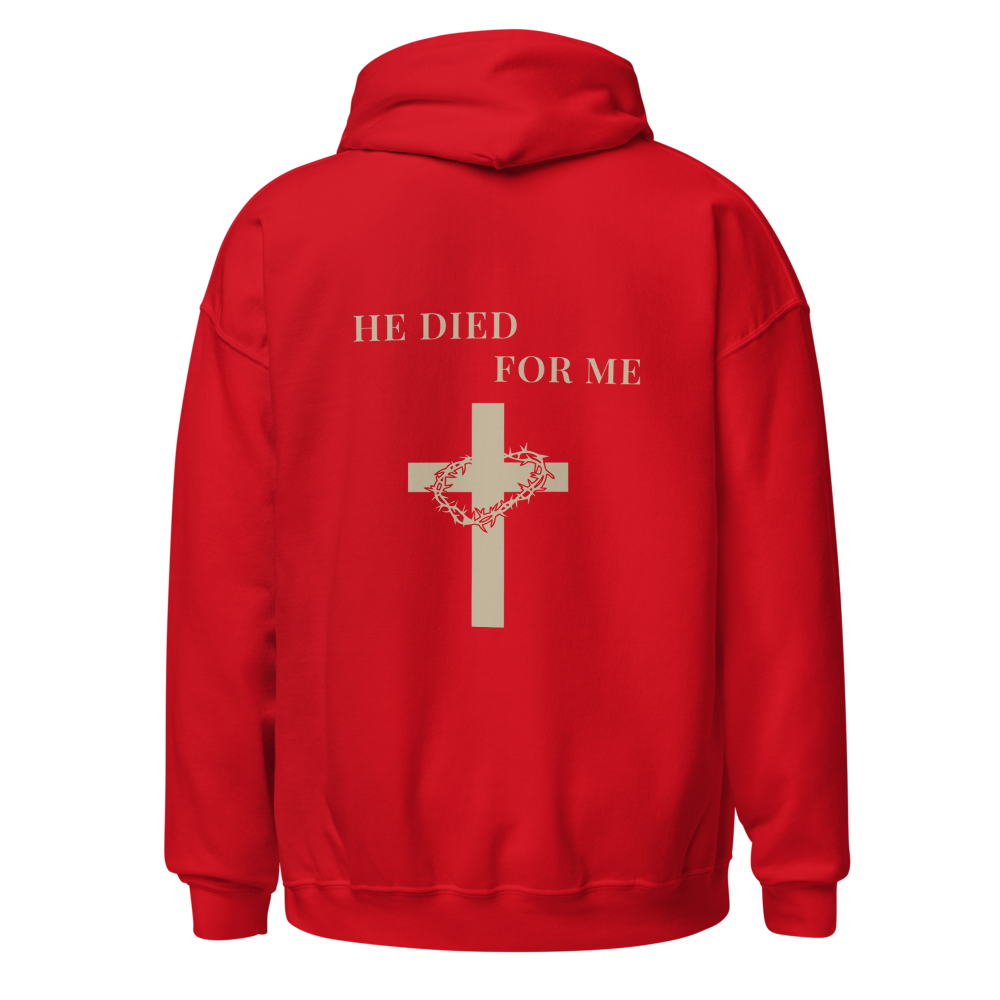John 3:16 Hoodie