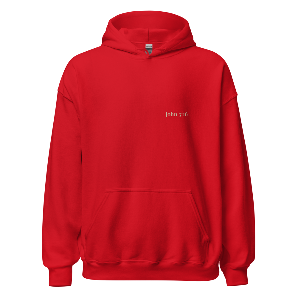 John 3:16 Hoodie
